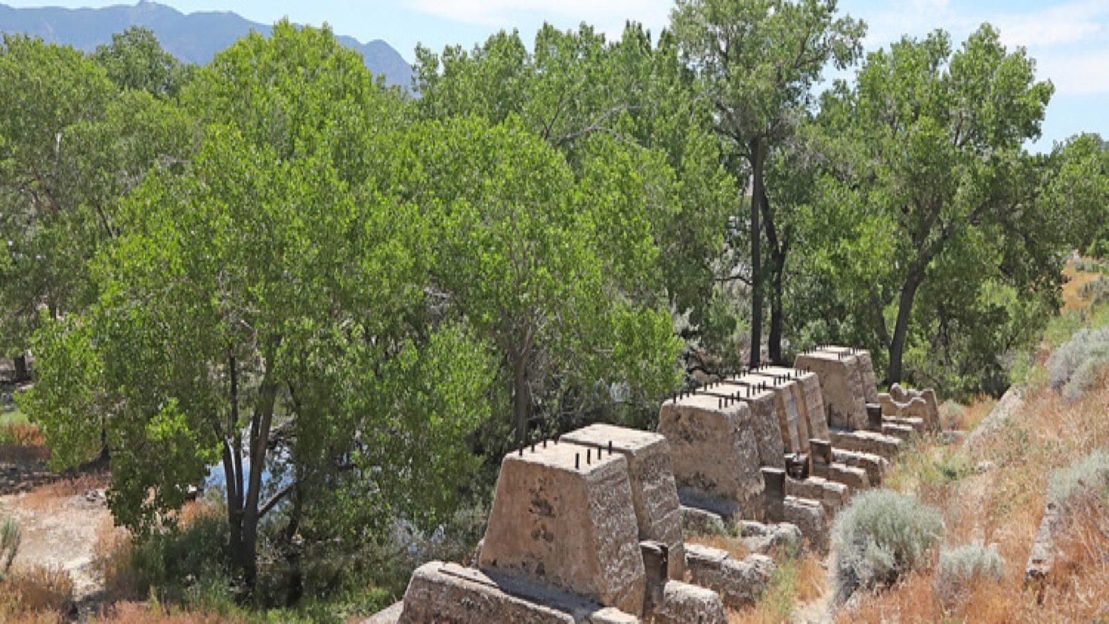 Dayton Nevada residential neighborhood along the Carson River valley with open desert views